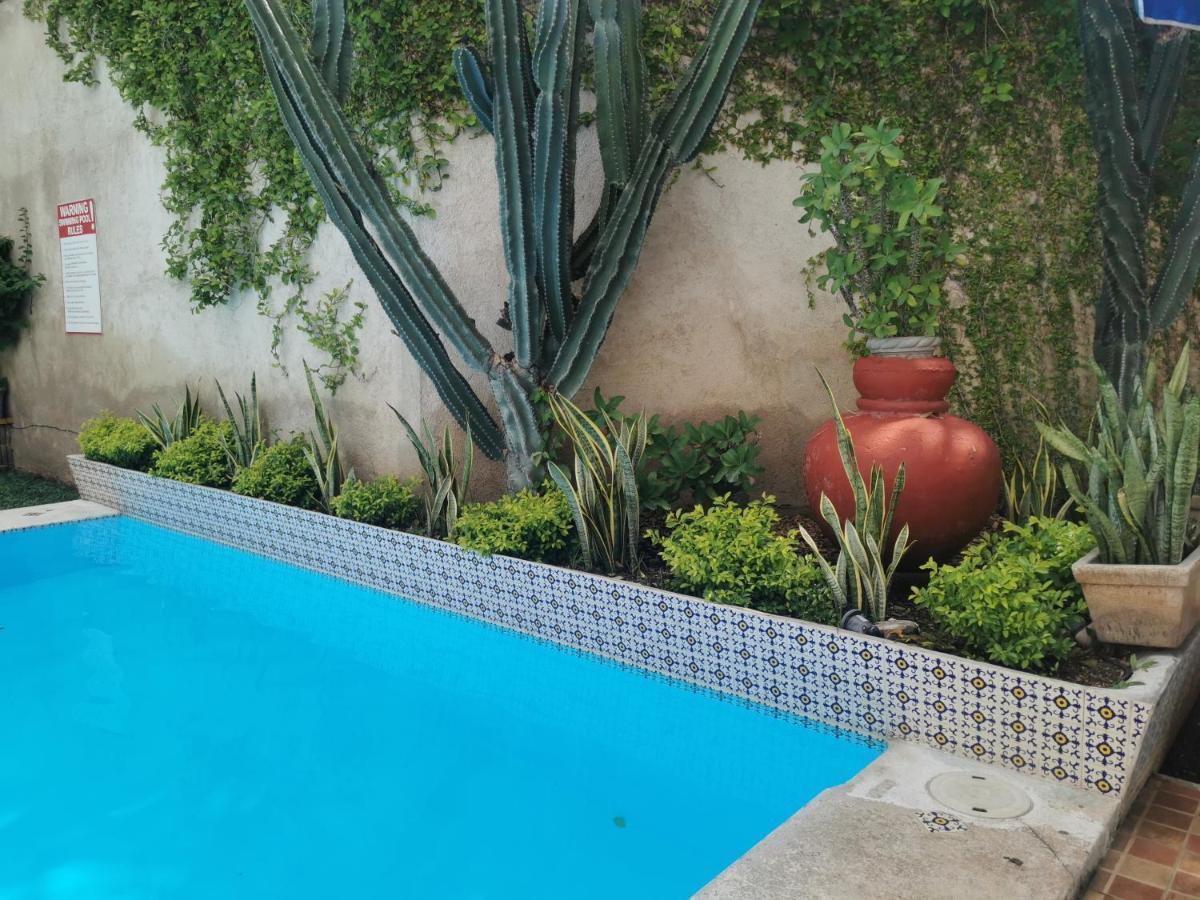Hotel Las Dalias Inn Mérida Extérieur photo